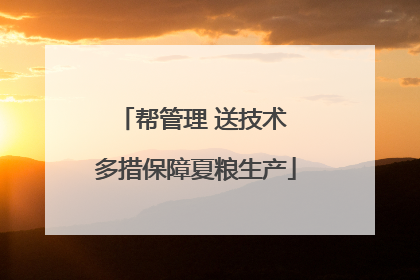 帮管理 送技术 多措保障夏粮生产