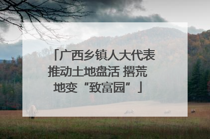 广西乡镇人大代表推动土地盘活 撂荒地变“致富园”