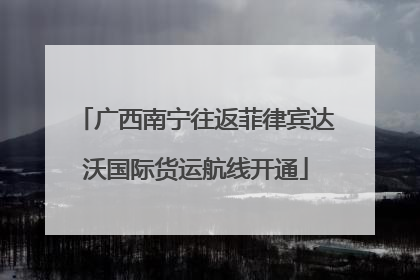 广西南宁往返菲律宾达沃国际货运航线开通