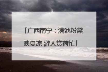 广西南宁：满池粉黛映夏凉 游人赏荷忙