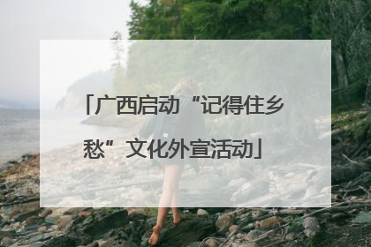 广西启动“记得住乡愁”文化外宣活动