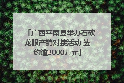 广西平南县举办石硖龙眼产销对接活动 签约逾3000万元