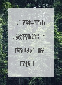 广西桂平市：数智赋能“一窗通办”解民忧