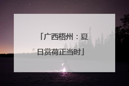 广西梧州：夏日赏荷正当时