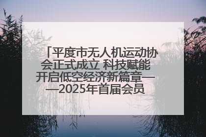 平度市无人机运动协会正式成立 科技赋能开启低空经济新篇章——2025年首届会员大会暨无人机应用发展论坛成功举办