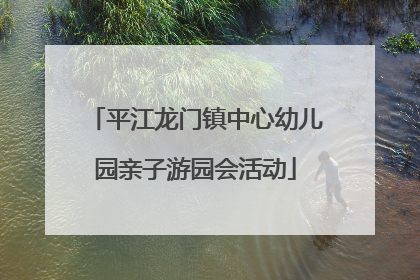 平江龙门镇中心幼儿园亲子游园会活动