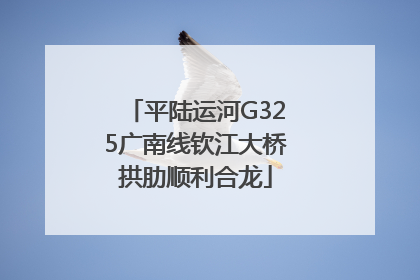 平陆运河G325广南线钦江大桥拱肋顺利合龙