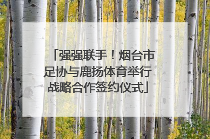 强强联手！烟台市足协与鹿扬体育举行战略合作签约仪式