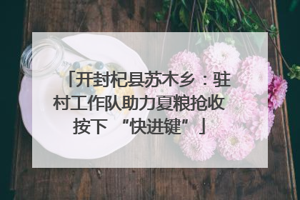 开封杞县苏木乡：驻村工作队助力夏粮抢收按下 “快进键”