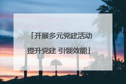 开展多元党建活动 提升党建 引领效能