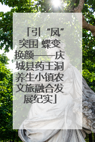 引“凤”突围 蝶变换颜——庆城县药王洞养生小镇农文旅融合发展纪实