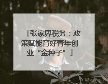 张家界税务：政策赋能育好青年创业“金种子”