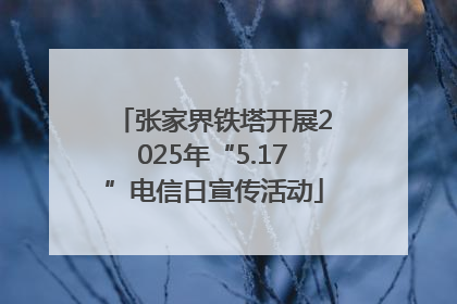 张家界铁塔开展2025年“5.17”电信日宣传活动