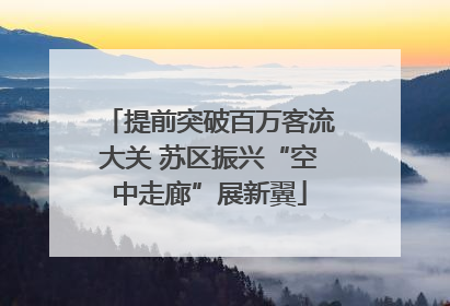 提前突破百万客流大关 苏区振兴“空中走廊”展新翼