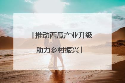 推动西瓜产业升级 助力乡村振兴