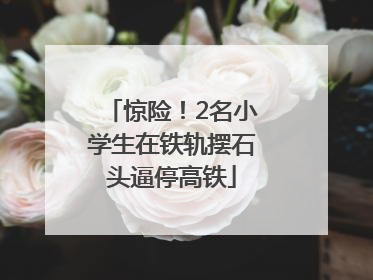 惊险！2名小学生在铁轨摆石头逼停高铁