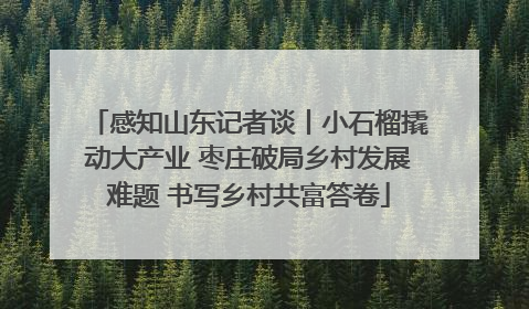 感知山东记者谈丨小石榴撬动大产业 枣庄破局乡村发展难题 书写乡村共富答卷