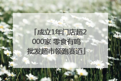 成立1年门店超2000家 零食有鸣批发超市领跑赛道