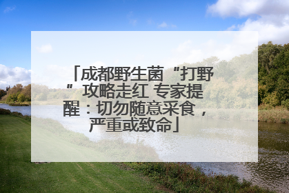成都野生菌“打野”攻略走红 专家提醒：切勿随意采食，严重或致命