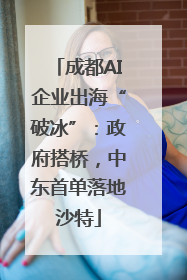 成都AI企业出海“破冰”：政府搭桥，中东首单落地沙特