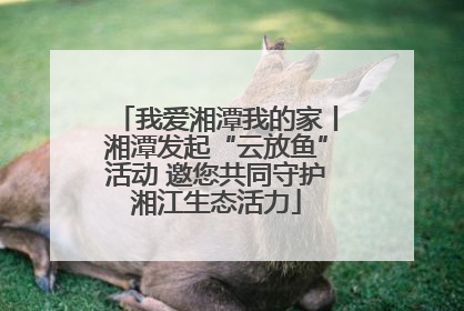 我爱湘潭我的家丨湘潭发起“云放鱼”活动 邀您共同守护湘江生态活力