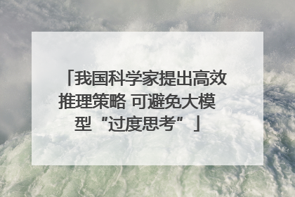 我国科学家提出高效推理策略 可避免大模型“过度思考”