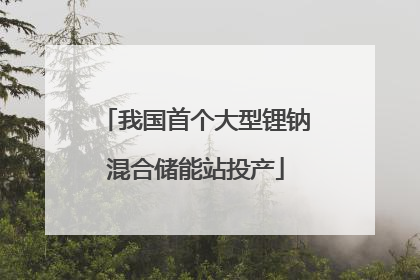 我国首个大型锂钠混合储能站投产