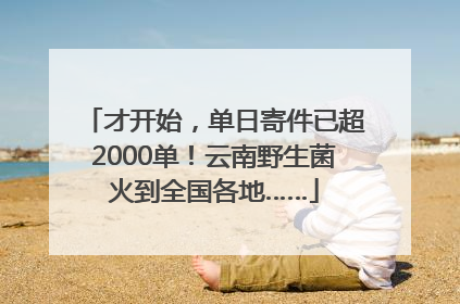 才开始，单日寄件已超2000单！云南野生菌火到全国各地……