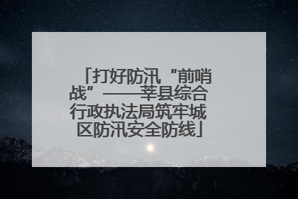 打好防汛“前哨战”——莘县综合行政执法局筑牢城区防汛安全防线