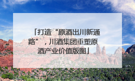 打造“原酒出川新通路”，川酒集团重塑原酒产业价值版图
