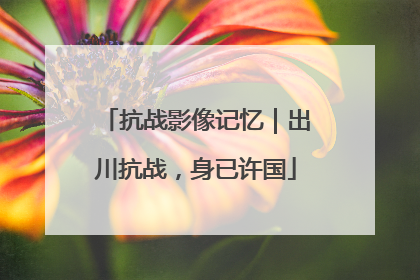 抗战影像记忆｜出川抗战，身已许国