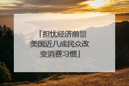 担忧经济前景 美国近八成民众改变消费习惯