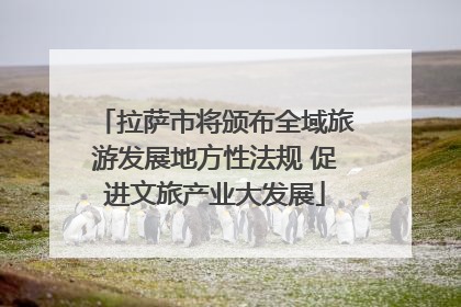 拉萨市将颁布全域旅游发展地方性法规 促进文旅产业大发展