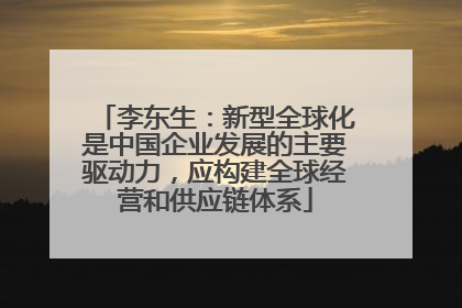 李东生：新型全球化是中国企业发展的主要驱动力，应构建全球经营和供应链体系