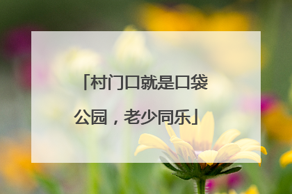 村门口就是口袋公园，老少同乐