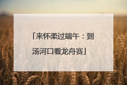 来怀柔过端午：到汤河口看龙舟赛