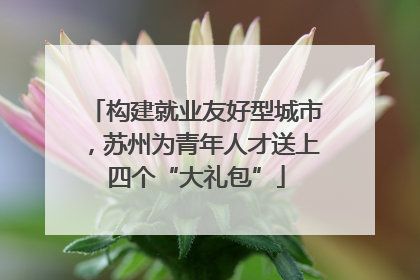 构建就业友好型城市，苏州为青年人才送上四个“大礼包”