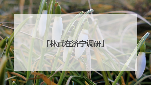 林武在济宁调研