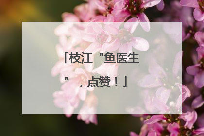 枝江“鱼医生”，点赞！