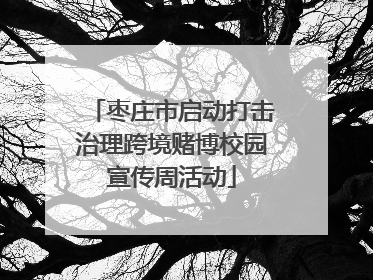 枣庄市启动打击治理跨境赌博校园宣传周活动