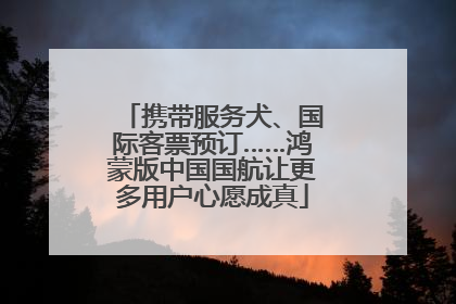 携带服务犬、国际客票预订……鸿蒙版中国国航让更多用户心愿成真