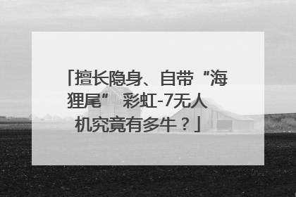 擅长隐身、自带“海狸尾” 彩虹-7无人机究竟有多牛？