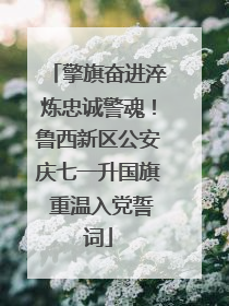 擎旗奋进淬炼忠诚警魂！鲁西新区公安庆七一升国旗 重温入党誓词