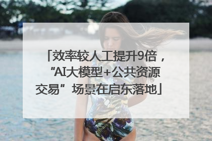 效率较人工提升9倍，“AI大模型+公共资源交易”场景在启东落地