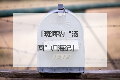 斑海豹“汤圆”归海记