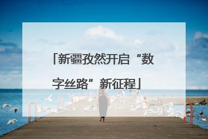 新疆孜然开启“数字丝路”新征程