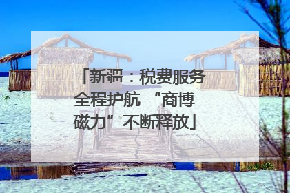 新疆：税费服务全程护航 “商博磁力”不断释放