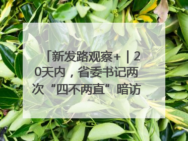 新发路观察+｜20天内，省委书记两次“四不两直”暗访，有何深意？