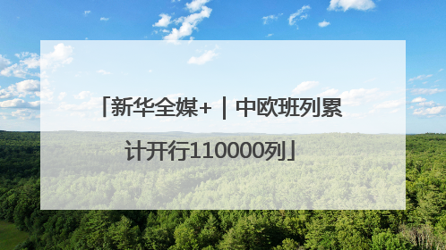 新华全媒+｜中欧班列累计开行110000列