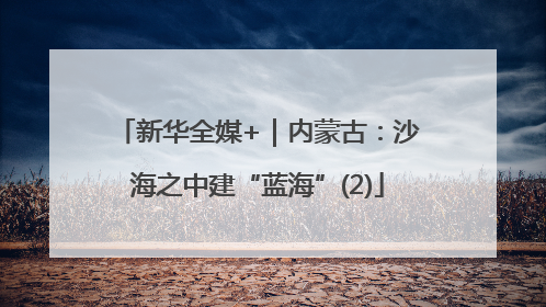 新华全媒+｜内蒙古：沙海之中建“蓝海”(2)